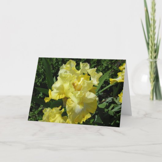 Gelbe Iris-Gruß-Karte Karte (Vorderseite)