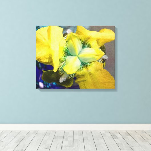 Gelbe Iris-Leinwand Leinwanddruck (Insitu (Holzboden))