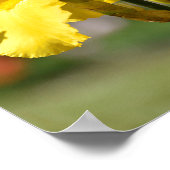Gelbe Iris Poster (Ecke)