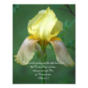 Gelbe Iris-Schrifts-Vers-photographischer Druck
