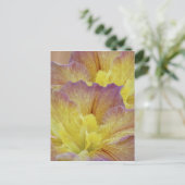 Gelbe Iris und ihre Bedeutung Postkarte (Stehend Vorderseite)