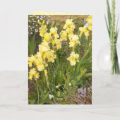 Gelbe Iris und Tabby Katze Blume Blumenkarte Karte (Rückseite)