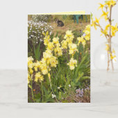 Gelbe Iris und Tabby Katze Blume Blumenkarte Karte (Gelbe Blume)