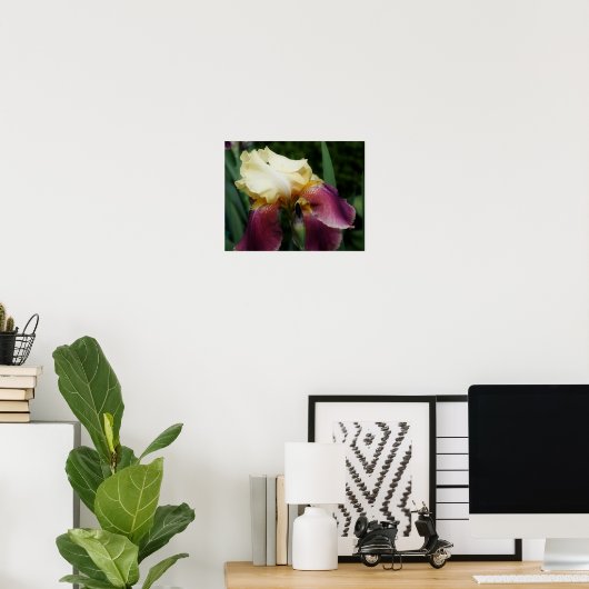 Gelbe Irisblume Blume Poster (Heimbüro)