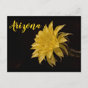 Gelbe Kakteen Blume in Blüte, Arizona Postkarte