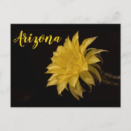 Gelbe Kakteen Blume in Blüte, Arizona Postkarte