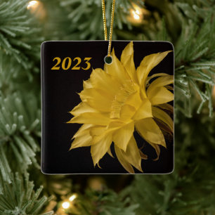 Gelbe Kakteen Blume in Blüte Keramikornament
