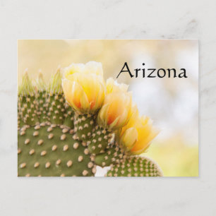 Gelbe Kakteen Blume während sie in Arizona blühen Postkarte