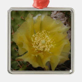 Gelbe Kakteen im Blut Silbernes Ornament