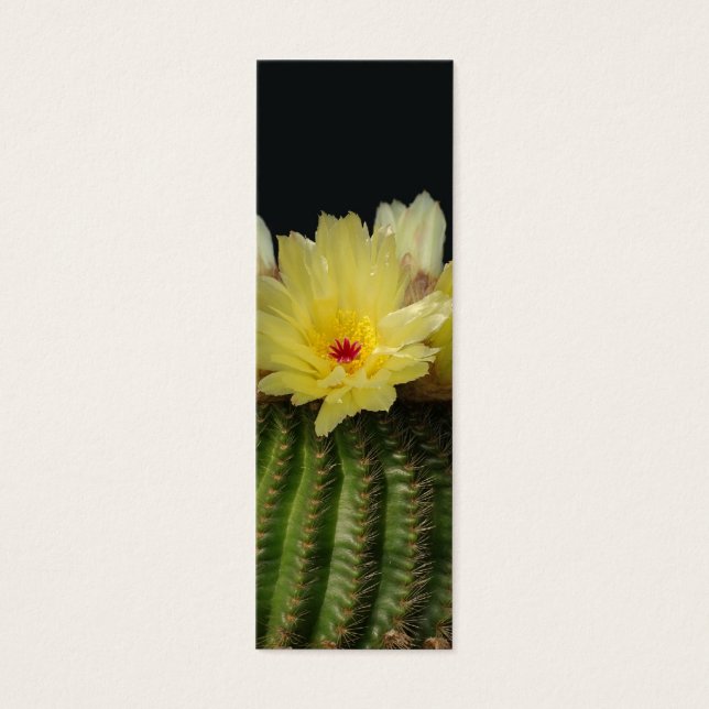 Gelbe Kaktus-Blume (Vorderseite)