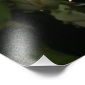 Gelbe Kaktus Blume Fotodruck (Ecke)