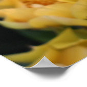 Gelbe Kaktus Blume Poster (Ecke)