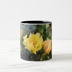 Gelbe Kaktus Blume Tasse
