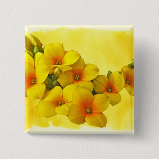 Gelbe Kalanchoe - Sukkulenter Sonnenschein Button (Vorderseite)