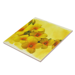 Gelbe Kalanchoe - Sukkulenter Sonnenschein Fliese