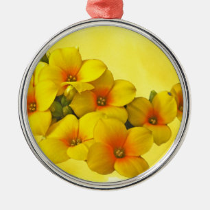 Gelbe Kalanchoe - Sukkulenter Sonnenschein Ornament Aus Metall
