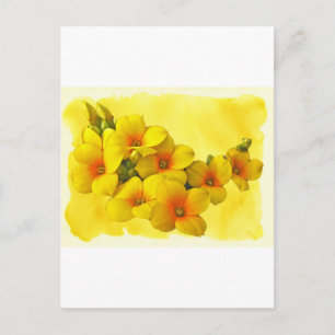 Gelbe Kalanchoe - Sukkulenter Sonnenschein Postkarte
