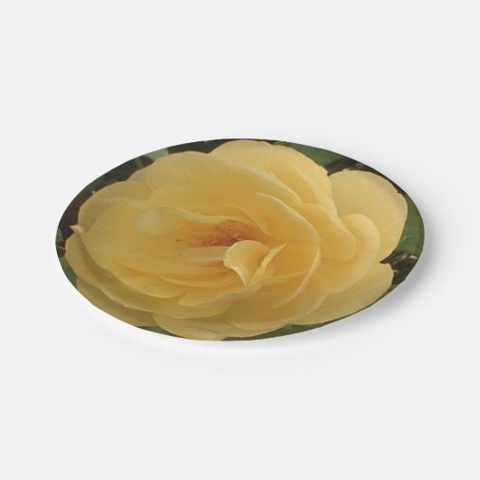 Gelbe Kamelien-Teller Pappteller (Schrägansicht)