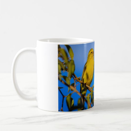 Gelbe Kanarische Tasse (Links)