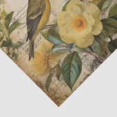 Gelbe Kanone Seidenpapier (Ausschnitt)