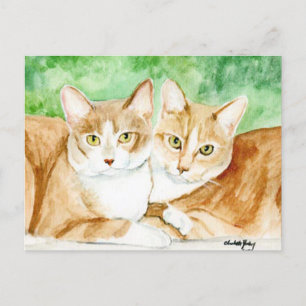 Gelbe Katze Schwestern Original Postkarte