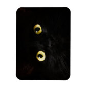 Gelbe Katzenaugen, schwarze Katze, schwarzer Hinte Magnet (Vertikal)