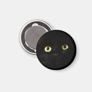 Gelbe Katzenaugen, schwarze Katze, schwarzer Hinte Magnet