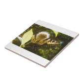 Gelbe Keramik Fliese (Seite)