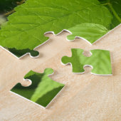 Gelbe Kerria, Seoul Puzzle (Seite)