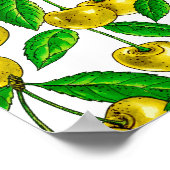 Gelbe Kirschen auf Weiß Poster (Ecke)