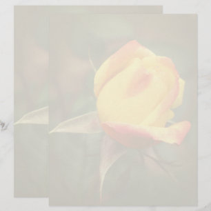 Gelbe Knospe Blume Briefbogen