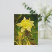 Gelbe Kolumbin-Blume Postkarte (Stehend Vorderseite)