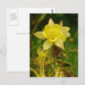 Gelbe Kolumbin-Blume Postkarte (Vorne/Hinten)