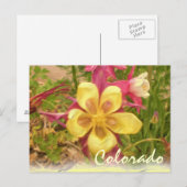 Gelbe Kolumne Blume Postkarte (Vorne/Hinten)