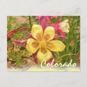 Gelbe Kolumne Blume Postkarte