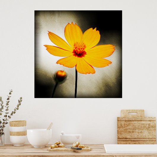 Gelbe Kosmos-Blume - Kunstposter Poster (Küche)