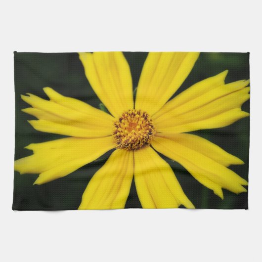 Gelbe Kosmos-Blume Nah-up Geschirrtuch (Horizontal)