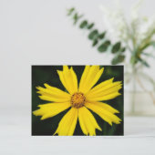 Gelbe Kosmos-Blume Nah-up Postkarte (Stehend Vorderseite)