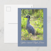 Gelbe Krone Nachtheron Postkarte (Vorne/Hinten)