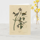 Gelbe Krone Warbler - Audubons Vögel in Amerika Karte (Gelbe Blume)