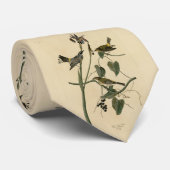 Gelbe Krone Warbler - Audubons Vögel in Amerika Krawatte (Gerollt)