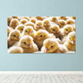 Gelbe Küken in großer Zahl Leinwanddruck (Insitu (Holzboden))