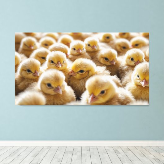 Gelbe Küken in großer Zahl Leinwanddruck (Insitu (Holzboden))