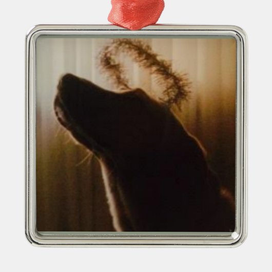 Gelbe Labrador Angel Ornament by Willowcatdesigns (Vorne)