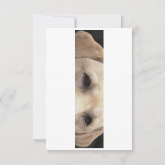 gelbe Labrador Augen Dankeskarte (Vorderseite)