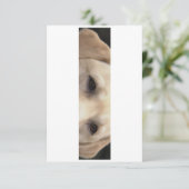 gelbe Labrador Augen Dankeskarte (Stehend Vorderseite)