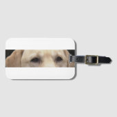 gelbe Labrador Augen Gepäckanhänger (Vorderseite (Horizontal))