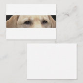 gelbe Labrador Augen Mitteilungskarte (Vorne/Hinten)