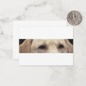 gelbe Labrador Augen Mitteilungskarte (Vorderseite/Rückseite Beispiel)