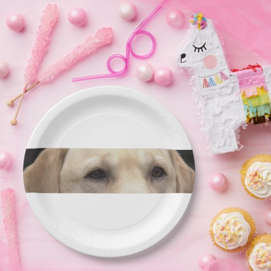 gelbe Labrador Augen Pappteller (Party)